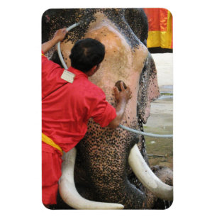 Magnet Flexible Bain Eléphant ... Ayutthaya, Thaïlande