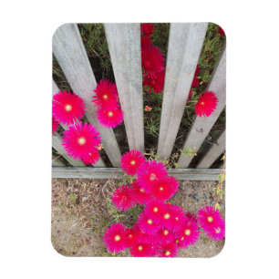 Magnet Flexible Baisées roses magnétiques