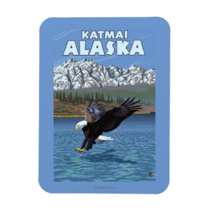 Magnet Flexible Bald Eagle Diving - Katmai, Alaska