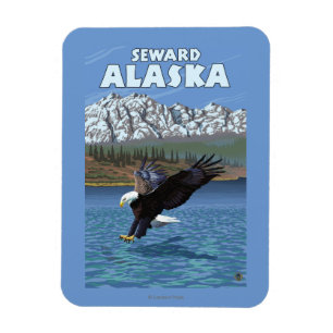 Magnet Flexible Bald Eagle Diving - Seward, Alaska