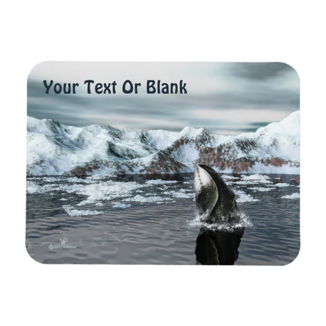 Magnet Flexible Baleine boréale (Horizontal)