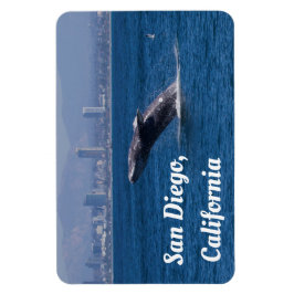 Magnet Flexible Baleine d'un temps San Diego, CA