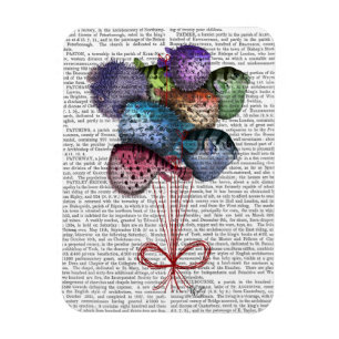 Magnet Flexible Ballons à poissons