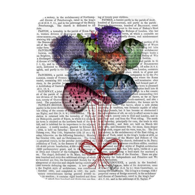 Magnet Flexible Ballons à poissons (Vertical)