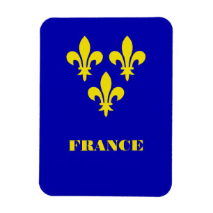 Magnet Flexible Bannière royale française médiévale Fidélité héral