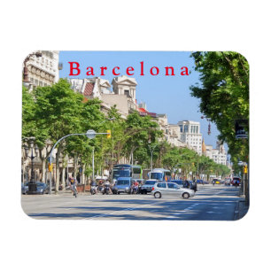 Magnet Flexible Barcelone. #2.  