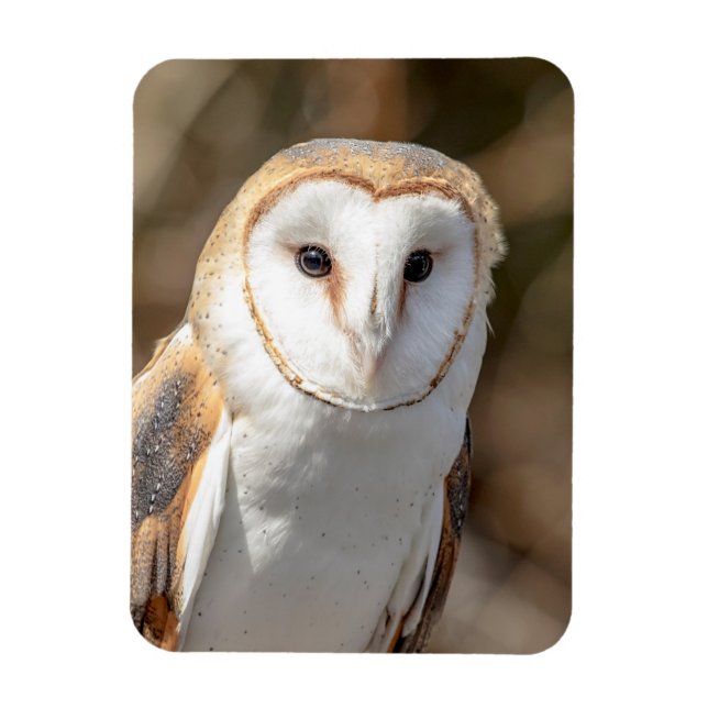 Magnet Flexible Barn Owl (Vertical)