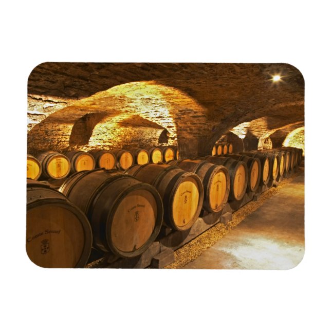Magnet Flexible Barres de chêne dans la cave du Domaine Comte (Horizontal)
