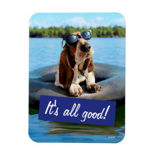 Magnet Flexible Basset Hound Dans Les Lunettes De Soleil