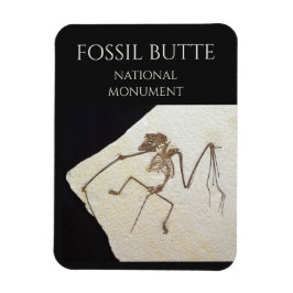 Magnet Flexible Bat Fossil, le monument national de Fossil Butte
