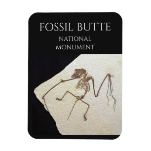 Magnet Flexible Bat Fossil, le monument national de Fossil Butte