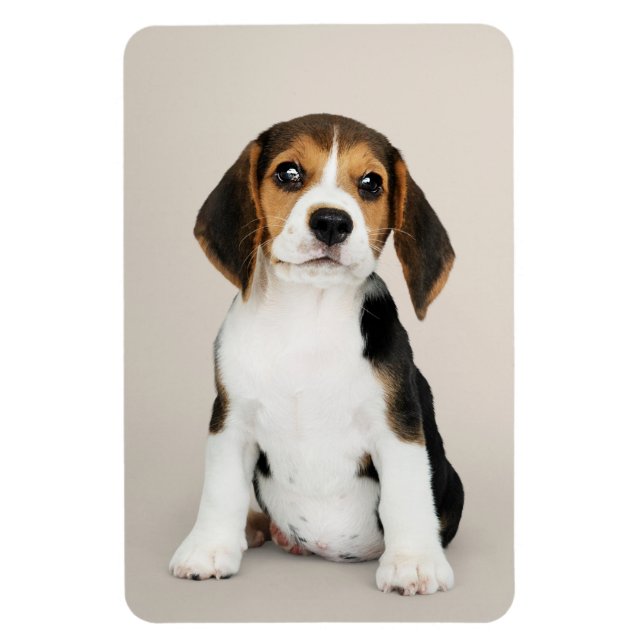 Magnet Flexible Beagle Chiot, Oh Tellement Mignonne (Vertical)