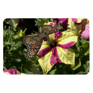 Magnet Flexible Beau papillon éléphant