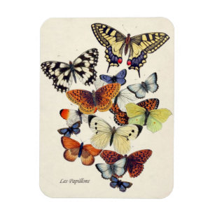 Magnet Flexible Beautiful Vintage Garden Butterflies