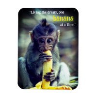 Bébé Singe Manger Banane