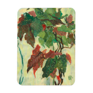 Magnet Flexible Begonia Maculata Plante de jardin d'intérieur Pein