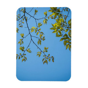 Magnet Flexible belle branche avec serrure feuille verte et jaune