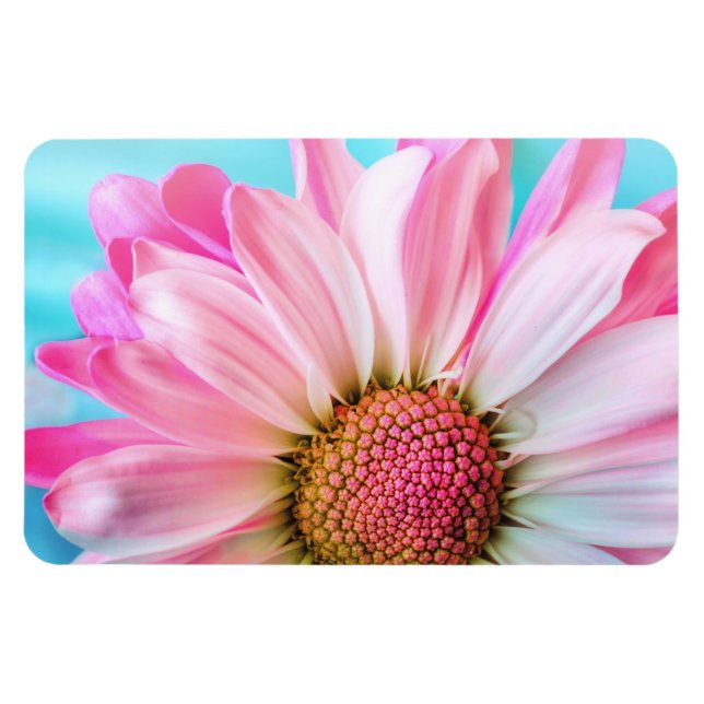 Magnet Flexible Belle Fleur rose Gros plan Photo (Horizontal)