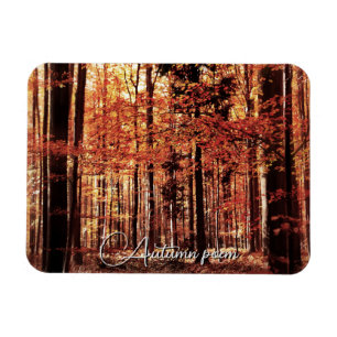 Magnet Flexible Belle forêt d'automne
