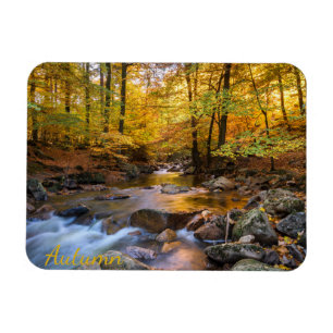 Magnet Flexible Belle forêt d'automne