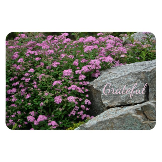 Magnet Flexible Belle Rock Garden Gratitude (Horizontal)