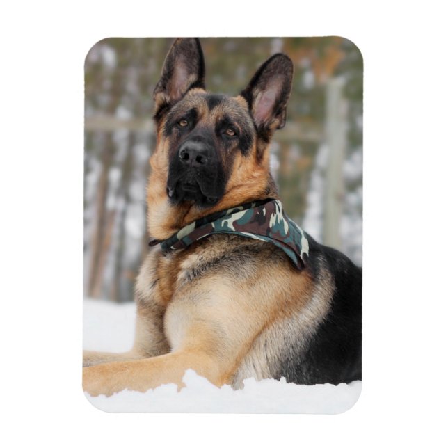 Magnet Flexible Berger Allemand En Neige (Vertical)