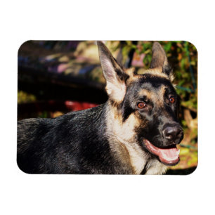Magnet Flexible berger allemand par Shirley Taylor
