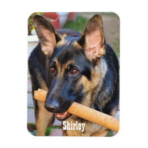 Magnet Flexible berger allemand par Shirley Taylor
