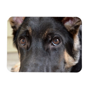Magnet Flexible berger allemand par Shirley Taylor