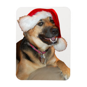 Magnet Flexible Berger allemand portant un Casquette du Père Noël