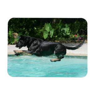 Magnet Flexible Berger allemand sautant dans l'eau