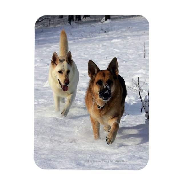 Magnet Flexible Bergers allemands en courant dans la neige (Vertical)