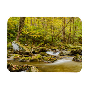 Magnet Flexible Big Creek North Carolina