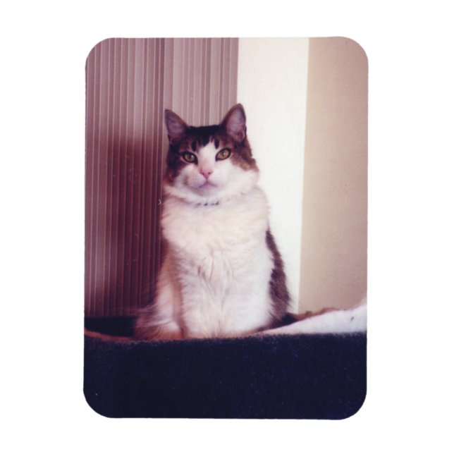 Magnet Flexible Big Kitty (Vertical)