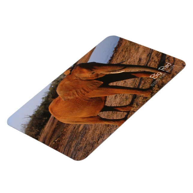 Magnet Flexible Big Red (Côté Gauche)