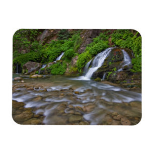 Magnet Flexible Big Springs Virgin River Parc national de Zion