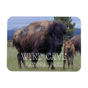Magnet Flexible Bison et Veau, Parc national de Wind Cave, SD