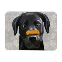 Black Labrador avec os sur le noeud 2