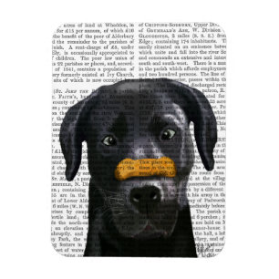Magnet Flexible Black Labrador With Bone on Nose