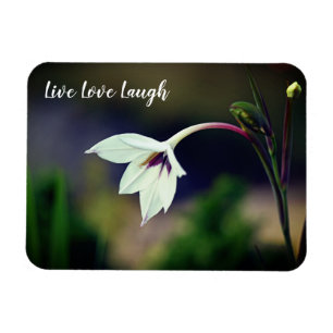 Magnet Flexible Blanc Gladiolus Garden Fleur Motivation