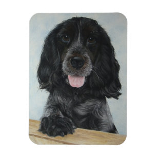 Magnet Flexible bleu english cocker spanial très mignon chien