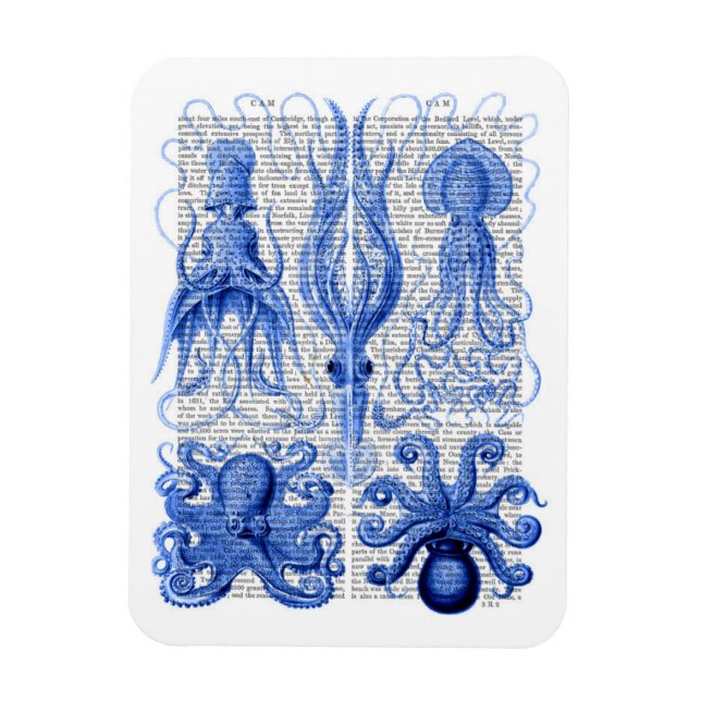 Magnet Flexible Bleu octopus et calmar (Vertical)