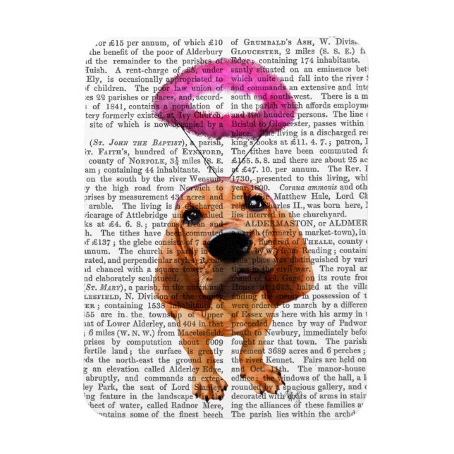 Magnet Flexible Bloodhof Avec Halo Rose Angélique (Vertical)