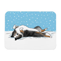 Blue Merle Shetland Sheepdog Shelter Neige d'hiver