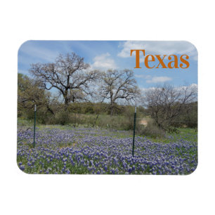 Magnet Flexible Bluebonnets de fleurs du Texas State