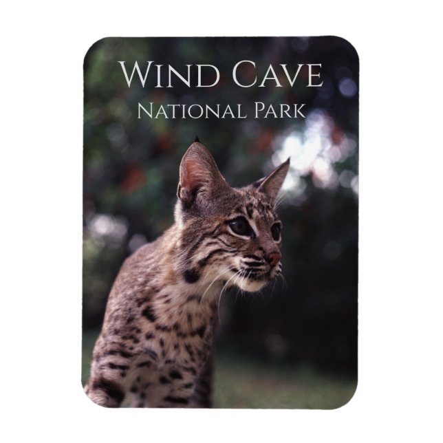 Magnet Flexible Bobcat au parc national Wind Cave National Park, D (Vertical)