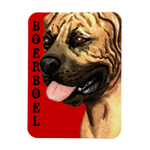 Magnet Flexible Boerbol Color Block