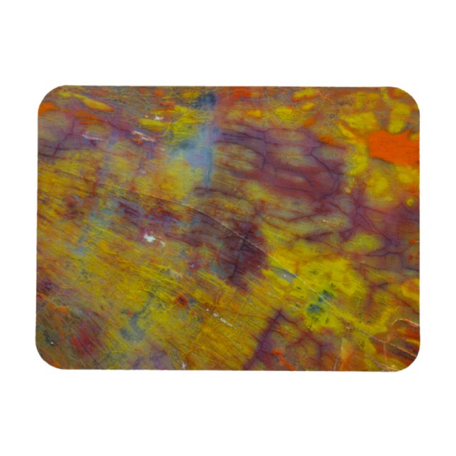 Magnet Flexible Bois pétrifié (Horizontal)