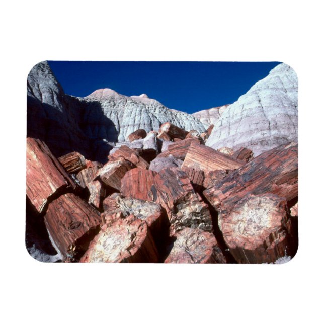 Magnet Flexible Bois pétrifié, Pôle forestier pétrifié, Arizona (Horizontal)