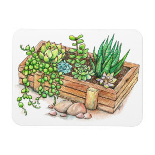 Magnet Flexible Boîte à planteur succulent